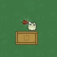 Online game Gravity Cat